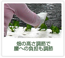 img32.jpg