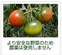 img13.jpg