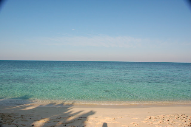 DSC_7528.JPG