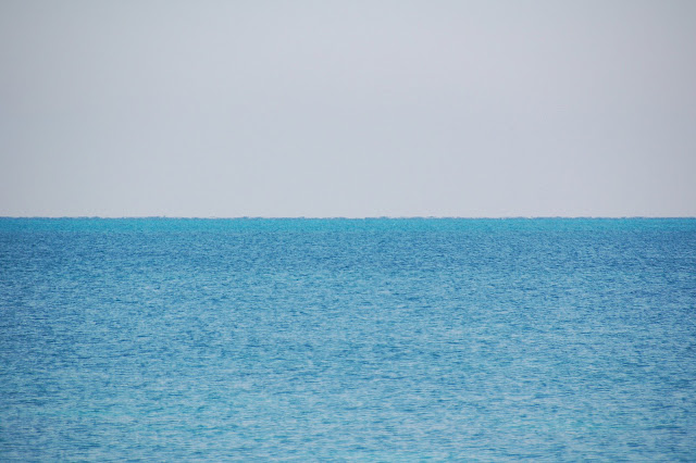 DSC_7536.JPG