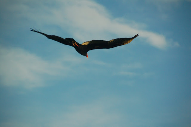 DSC_7391.JPG
