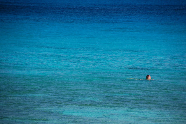 DSC_7428.JPG