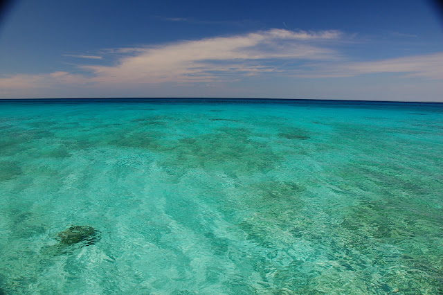 DSC_7470.JPG
