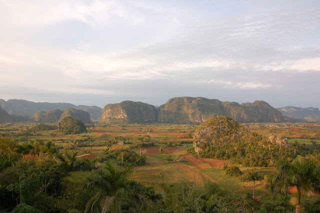 DSC_7592.JPG