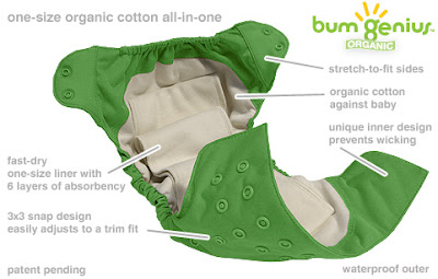 diagram bumgenius organic