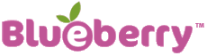 logoblueberry