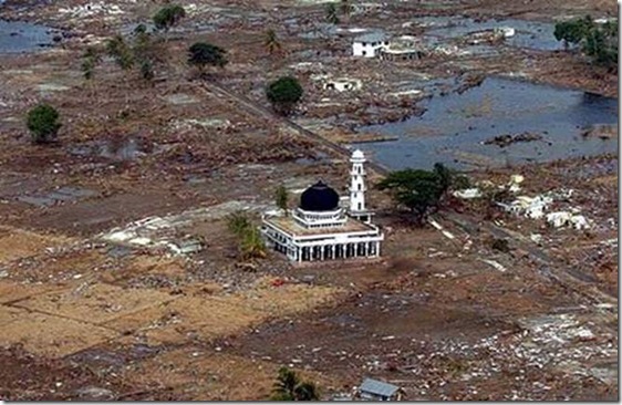 image001 image001
