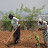 Women cultivating a garden Women cultivating a garden