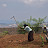 Women cultivating a garden Women cultivating a garden
