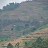 Agricultural rural Rwanda Agricultural rural Rwanda