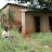 Child sitting in grass outside house