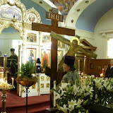 SN851568.JPG