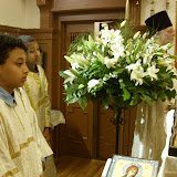 SN851819.JPG