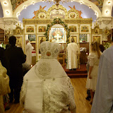 SN851826.JPG