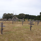 SN852948.JPG