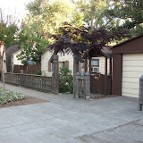 SN853311.JPG
