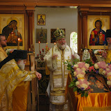 bishop 413.JPG