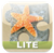Bright Puzzles Sea Life lite