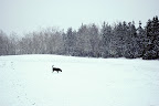 DSC_0070.jpg