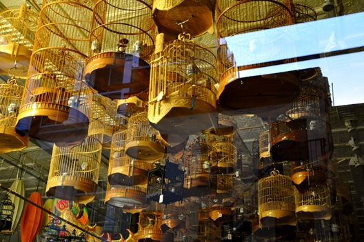 [2010_07_cages[2].jpg]