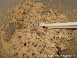 cookie dough with oatmeal and chocolate chips