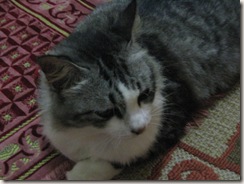 waiting for Mama to finish solat waiting for Mama to finish solat