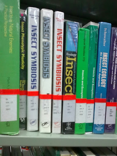 หนังสือช่วง 10 ปี