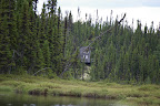 la cabane de chasse pour l'orignal