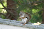 IMG_0004.JPG