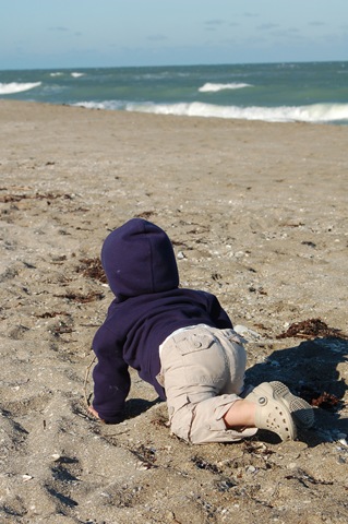 [beach-7[4].jpg]