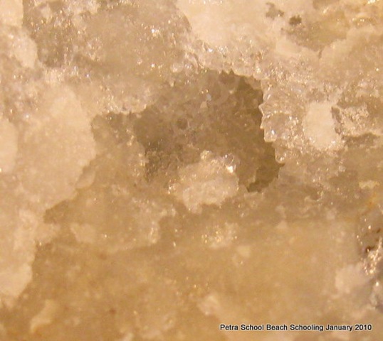 [Homeschool, Rock, Agate, Crystal, Lincoln City, Oregon-2[2].jpg]