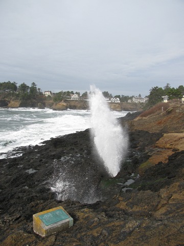 [Homeschool, Lincoln City, Depot Bay, Spout, Unschool-6.jpg]
