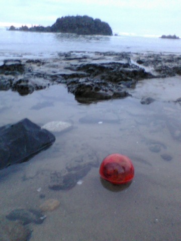 [Homeschool, Lincoln City, Full Moon, Charlotte Mason, Outdoor Study, Glass Ball-10[8].jpg]
