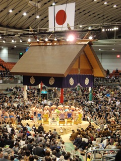 [P31626354.jpg]