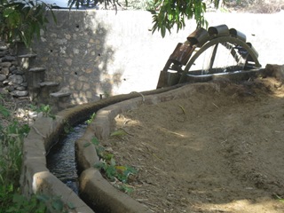 [IMG_53284.jpg]