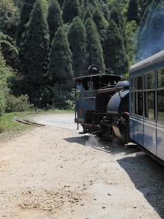 [P4143180[4].jpg]