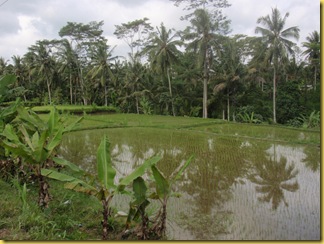 PA080739