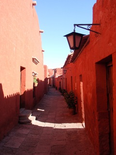 [P70103095.jpg]