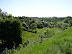 P1010005.JPG