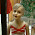 2007-05-12-21h53m24.jpg