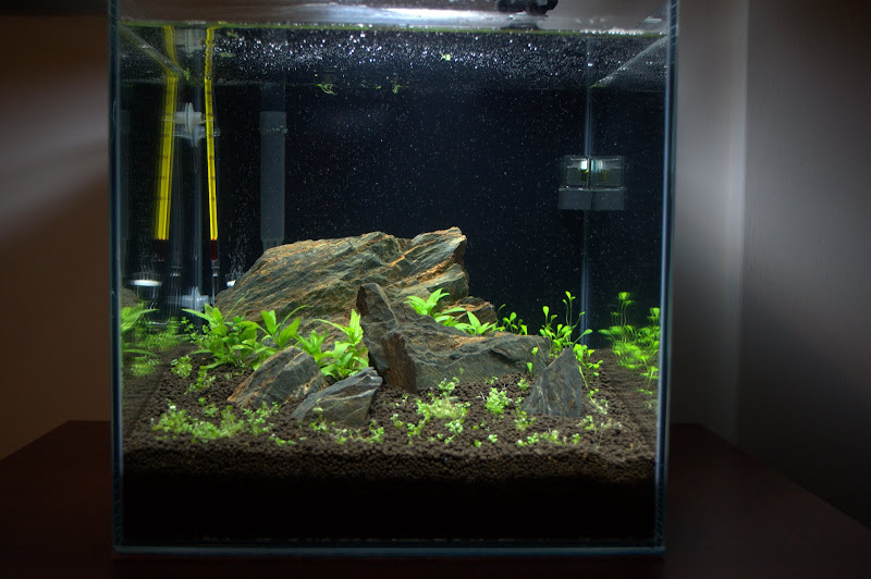 Obrazek