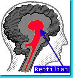 [triunebrainRept[13].jpg]