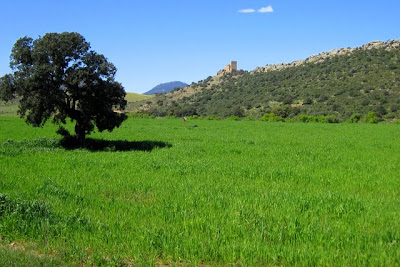 Castillo de Madroñiz