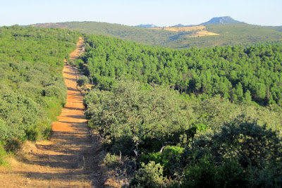 Castillo del Viñón