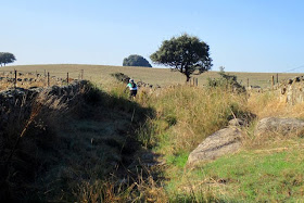 Maratón Extrema Los Pedroches