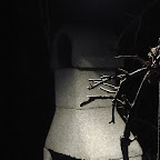 Kradrostado la unuan vesperon