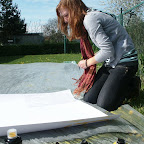 Projektado de nova PEJ-emblemo