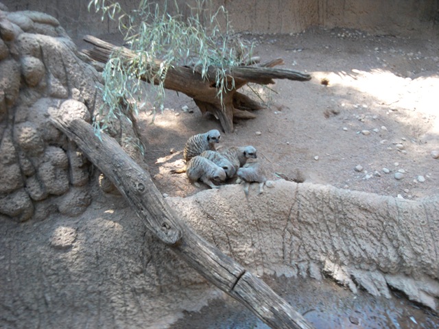[2010-08-28 14.59.57[4].jpg]