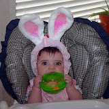 Isabel's Bunny Ears
