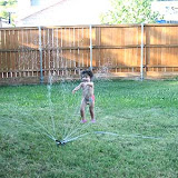 Playing with the Sprinkler